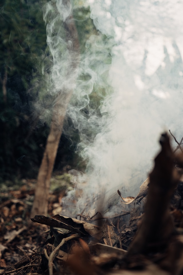 Autumnal Smoke